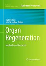 Organ Regeneration