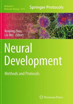 Neural Development