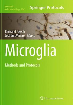 Microglia