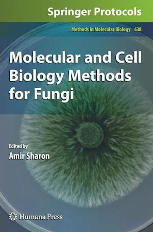 Molecular and Cell Biology Methods for Fungi