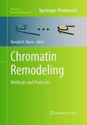 Chromatin Remodeling