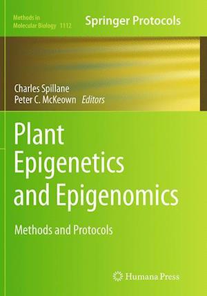 Plant Epigenetics and Epigenomics