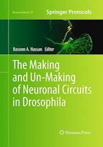 The Making and Un-Making of Neuronal Circuits in Drosophila