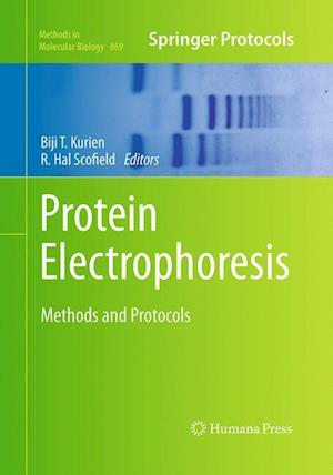 Protein Electrophoresis