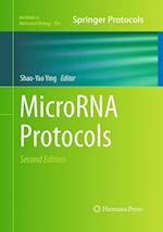 MicroRNA Protocols
