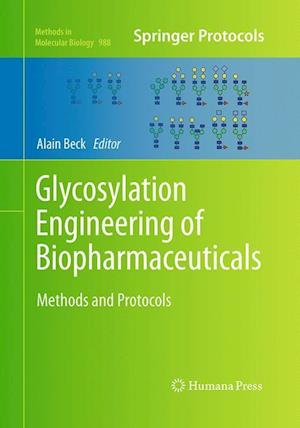 Glycosylation Engineering of Biopharmaceuticals