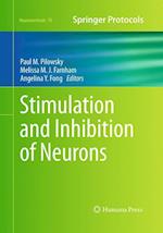 Stimulation and Inhibition of Neurons