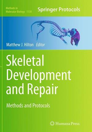 Skeletal Development and Repair