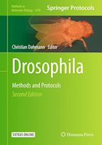 Drosophila