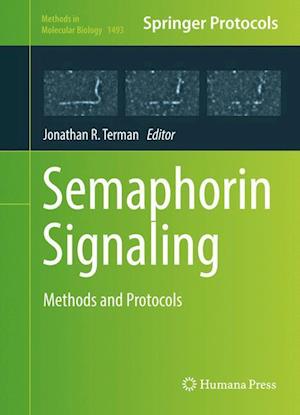 Semaphorin Signaling