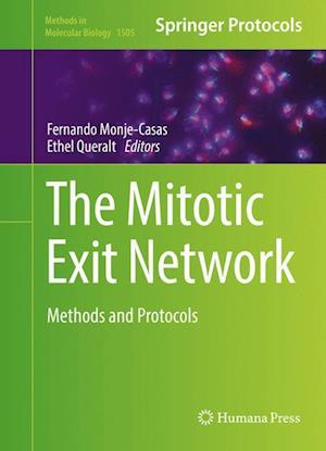 The Mitotic Exit Network
