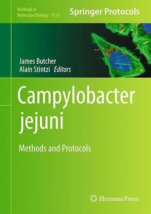 Campylobacter jejuni