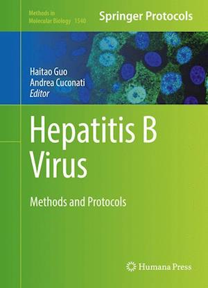 Hepatitis B Virus