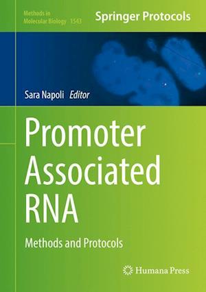 Promoter Associated RNA