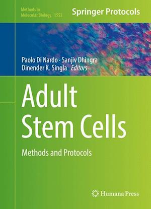 Adult Stem Cells