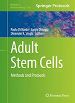 Adult Stem Cells