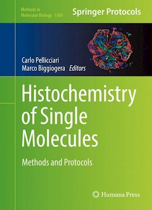 Histochemistry of Single Molecules