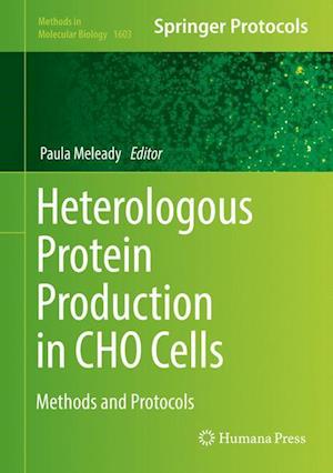 Heterologous Protein Production in CHO Cells