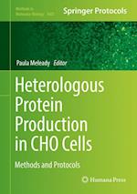 Heterologous Protein Production in CHO Cells