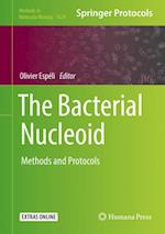 The Bacterial Nucleoid