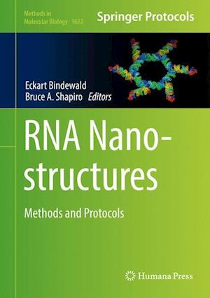 RNA Nanostructures