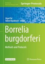 Borrelia burgdorferi