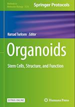 Organoids