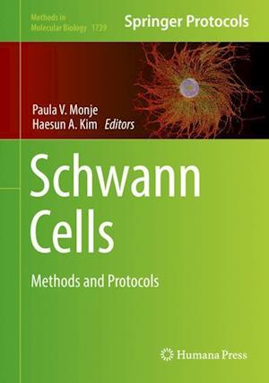 Schwann Cells