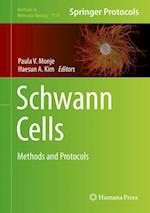 Schwann Cells