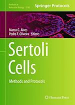 Sertoli Cells