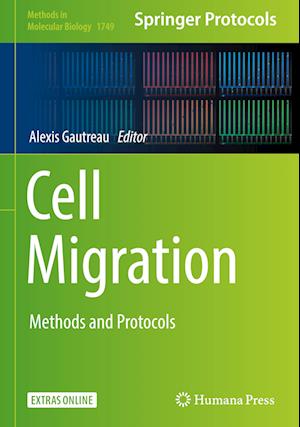 Cell Migration