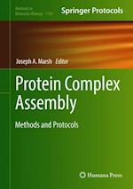 Protein Complex Assembly