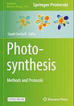 Photosynthesis