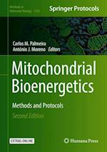 Mitochondrial Bioenergetics