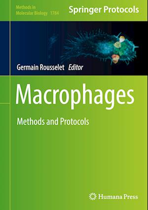 Macrophages