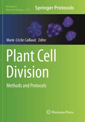 Plant Cell Division