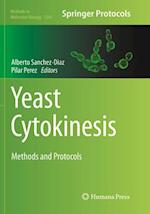 Yeast Cytokinesis