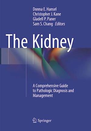 The Kidney