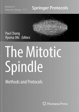 The Mitotic Spindle