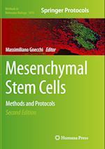 Mesenchymal Stem Cells