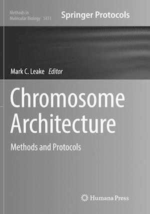 Chromosome Architecture