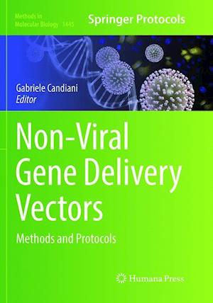 Non-Viral Gene Delivery Vectors