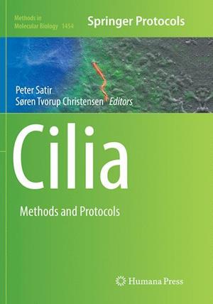 Cilia