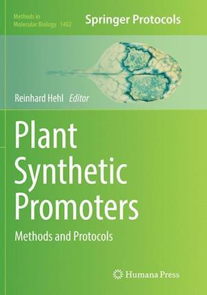 Plant Synthetic Promoters