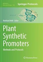 Plant Synthetic Promoters
