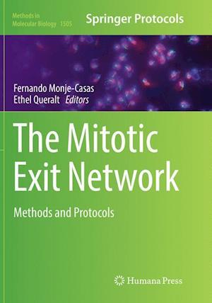 The Mitotic Exit Network