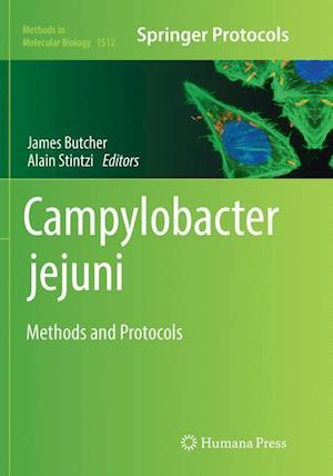 Campylobacter jejuni