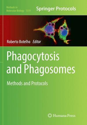 Phagocytosis and Phagosomes