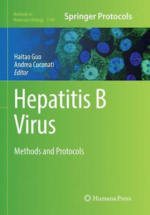 Hepatitis B Virus