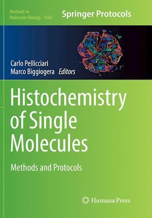 Histochemistry of Single Molecules